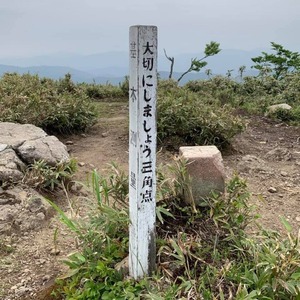もうすぐ6期目も終わり間近、、ありがとうございました。